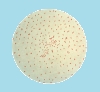 Pertussis